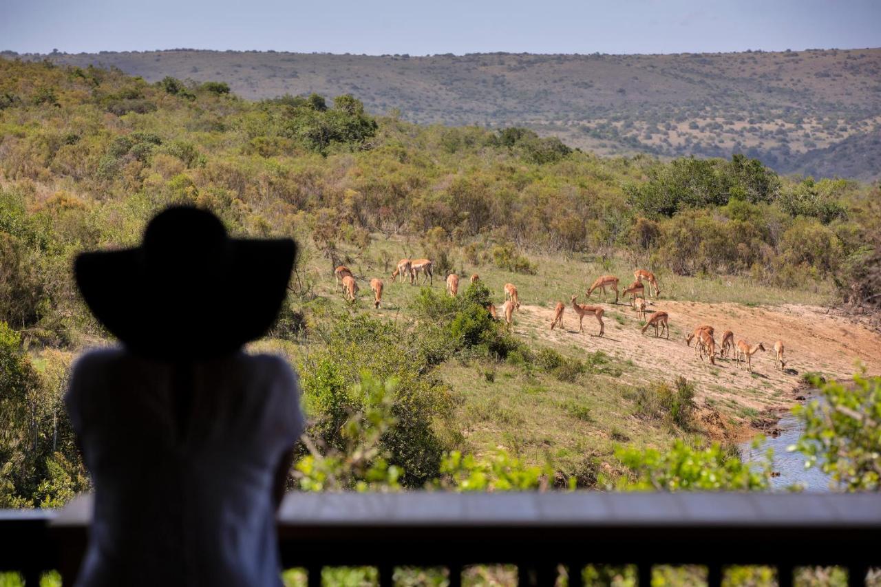 Lalibela Game Reserve - Kichaka Lodge Paterson Экстерьер фото