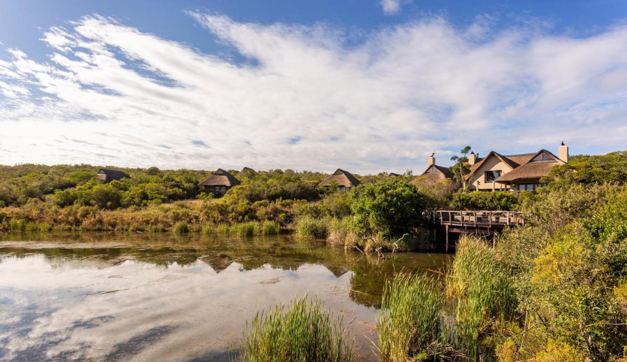 Lalibela Game Reserve - Kichaka Lodge Paterson Экстерьер фото