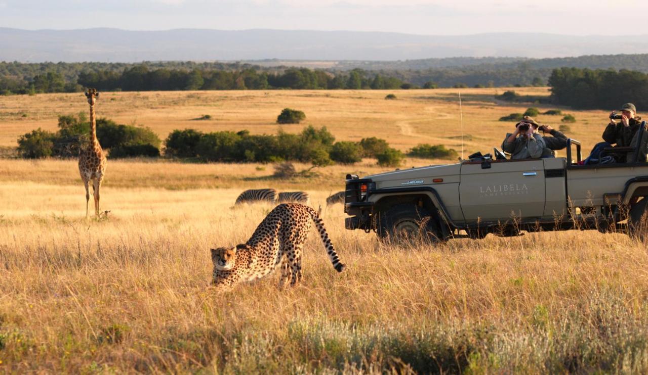 Lalibela Game Reserve - Kichaka Lodge Paterson Экстерьер фото